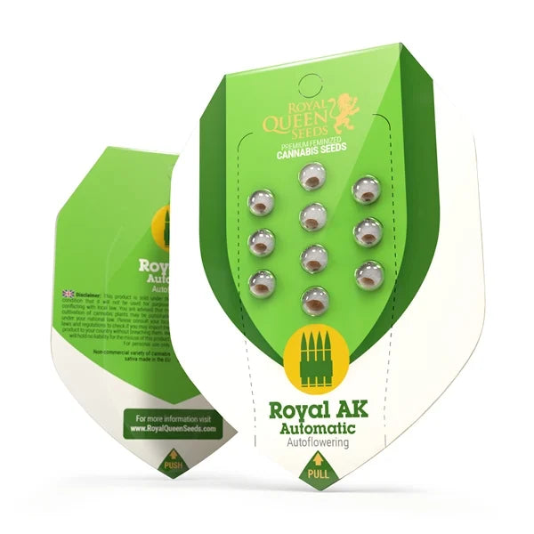 Royal Queen Seeds – Royal AK Auto Feminized Seeds (Giggly Hybrid Autoflower)