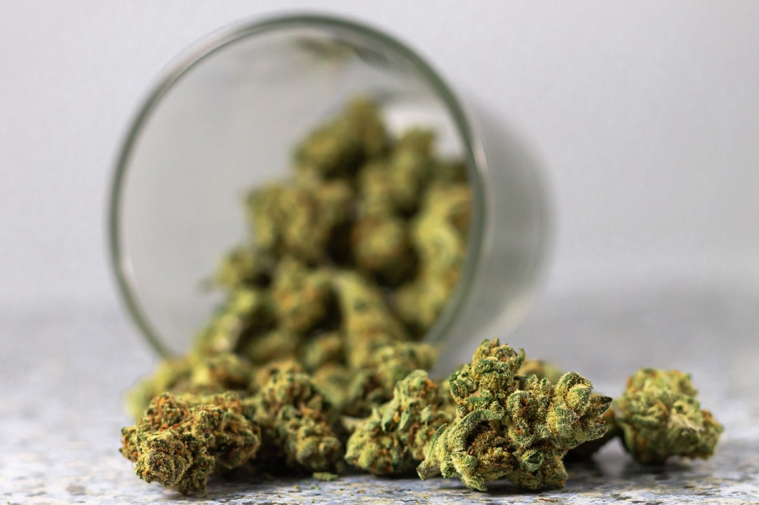 What's The Point of "CBD + THC" Products? - Erth Wellness