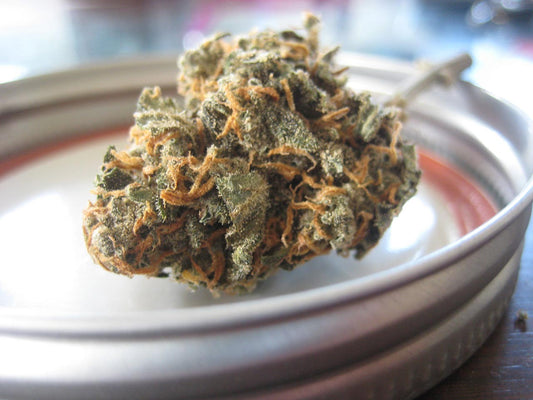 Your Complete Guide on How to Tell CBD Flower From Weed - Erth Wellness