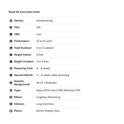 Royal Queen Seeds iGrowCan – Beginner-Friendly Autoflower Grow Kit