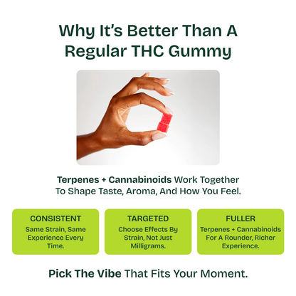 An informational graphic comparing THC gummies, with the headline 'Why It's Better Than A Regular THC Gummy' and a photo of a hand holding a small red gummy. The graphic includes text about terpenes and cannabinoids and three green boxes highlighting consistent, targeted, and fuller effects.