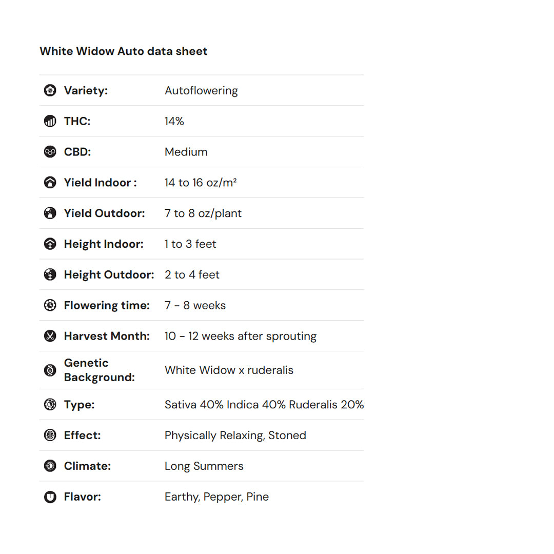 Royal Queen Seeds iGrowCan – Beginner-Friendly Autoflower Grow Kit