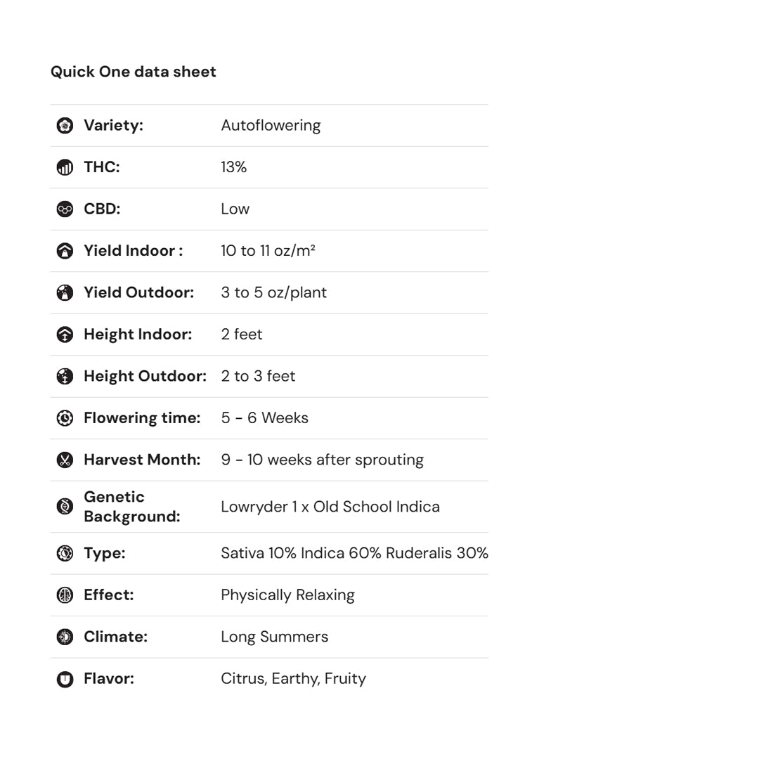 Royal Queen Seeds iGrowCan – Beginner-Friendly Autoflower Grow Kit