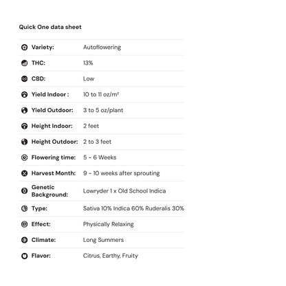 Royal Queen Seeds iGrowCan – Beginner-Friendly Autoflower Grow Kit