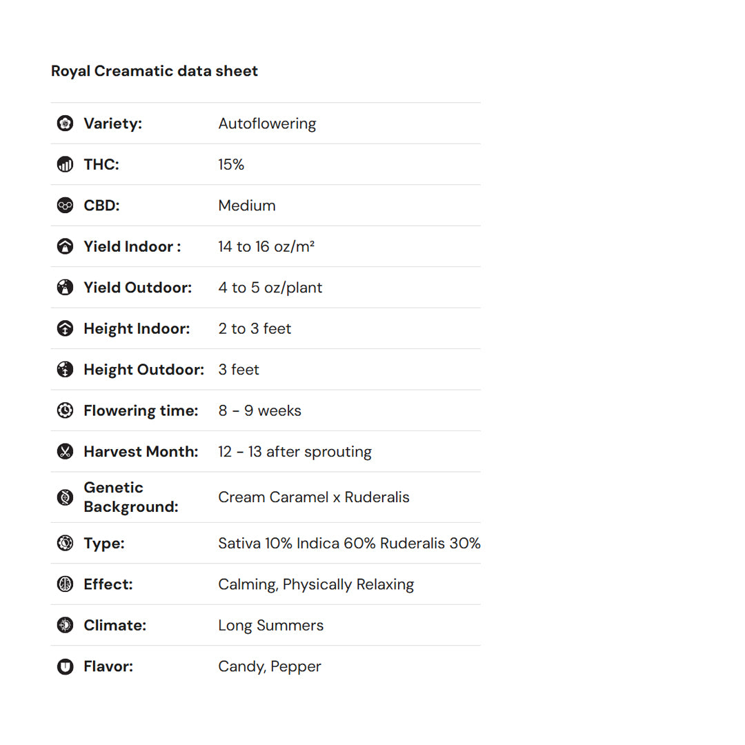 Royal Queen Seeds iGrowCan – Beginner-Friendly Autoflower Grow Kit