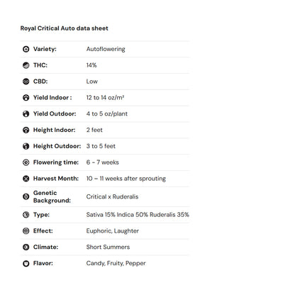 Royal Queen Seeds iGrowCan – Beginner-Friendly Autoflower Grow Kit