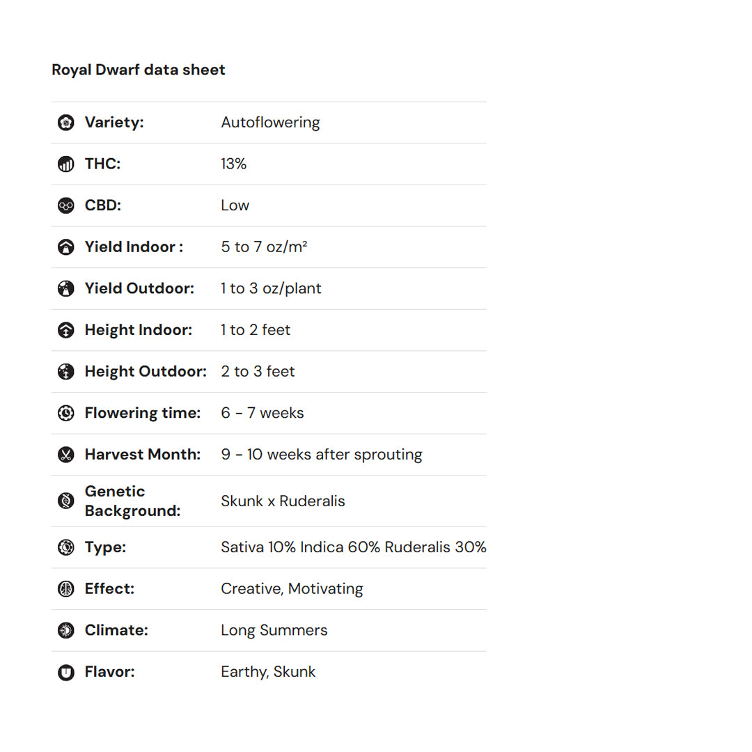 Royal Queen Seeds iGrowCan – Beginner-Friendly Autoflower Grow Kit