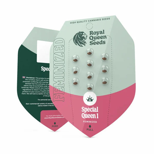 Royal Queen Seeds – Special Queen 1 Feminized Seeds (Classic Skunk Hybrid)